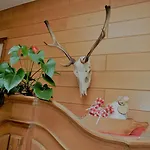 Otel Hohe Tauern Matrei in Osttirol